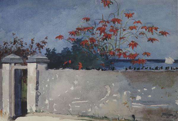 Winslow Homer A Wall,Nassau (mk44) oil painting picture